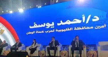 مؤتمر حماة الوطن لدعم المرشحين في القليوبية