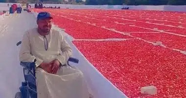 ذوو الهمم يقودون التنمية الزراعية بالأقصر