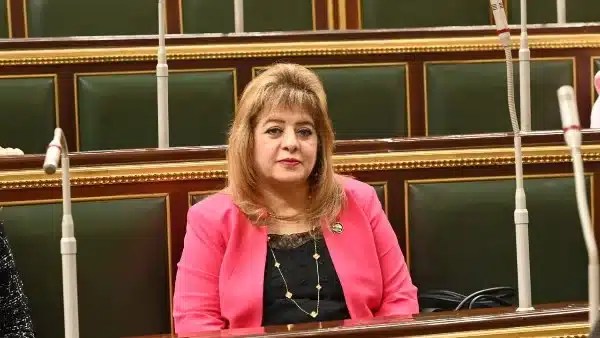 تدخل الرئيس السيسي يعزز نزاهة الانتخابات والثقة الشعبية