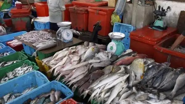 تراجع أسعار الأسماك والجمبري في سوق العبور