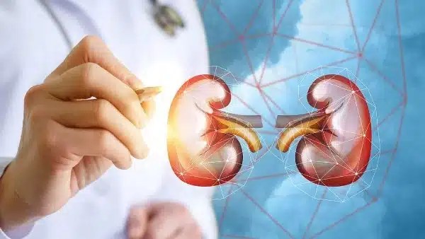 مشروبات طبيعية لطرد الأملاح وتعزيز صحة الكلى