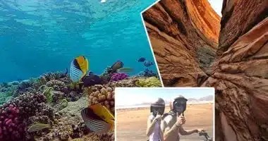 مشروعات بيئية مستدامة في جنوب سيناء