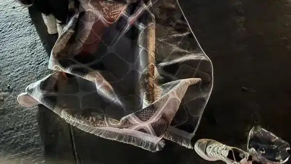 مصرع سيدة وابنتها في حادث تصادم بالجيزة