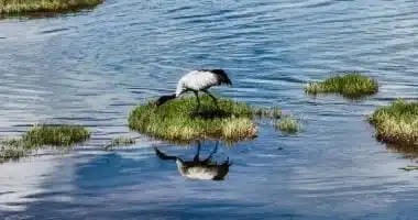 نصائح مهمة لرحلة صديقة للبيئة في المحميات الطبيعية