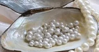 صادرات مصر إلى الإمارات تصل إلى 4.7 مليار دولار