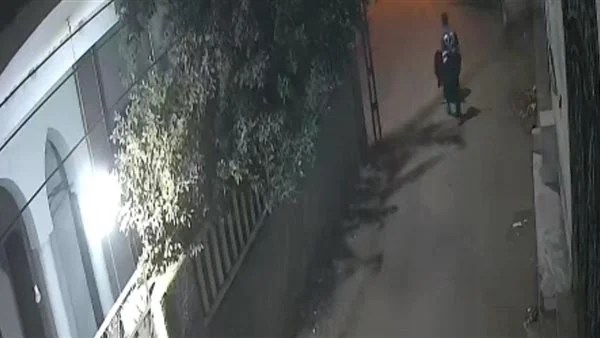 اعتداء شاب على سيدة بالمنوفية: تفاصيل الحادث