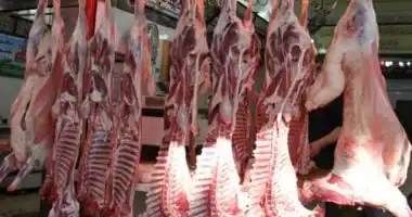 تكثيف حملات التفتيش البيطرية في أسوان