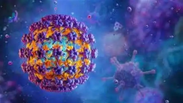 تأكيد بعدم وجود فيروس خطير في مصر