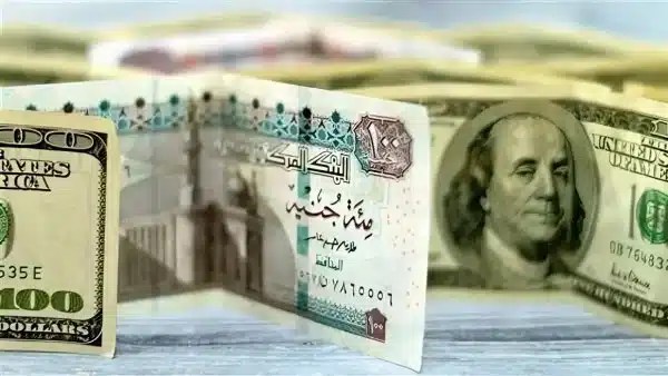 سعر الدولار اليوم في مصر 11 نوفمبر 2025 يثبت استقراره