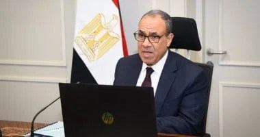 لقاء افتراضي مع الجالية المصرية في دول جنوب شرق آسيا