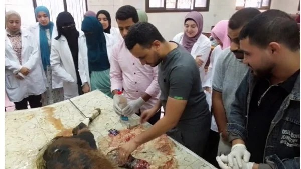 نتائج مسابقة وحدة الأبحاث الطلابية بكلية الطب ببني سويف