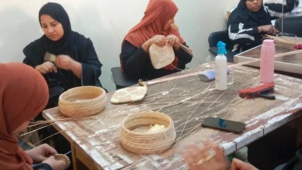 جهود تدريب المرأة بأسوان وتحقيق إنجاز في الشكاوى