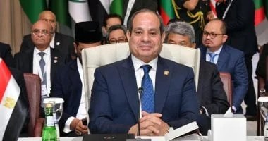 مصر تعزز دورها الاستراتيجي في السياسة الدولية