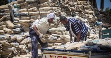 استقرار أسعار الأسمنت اليوم 22 ديسمبر 2025