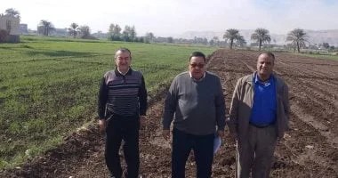 زراعة سوهاج تستهدف 120 حقلًا إرشاديًا للقمح