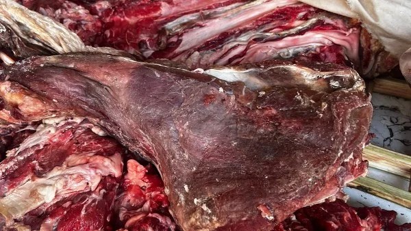 ضبط 350 كيلوغرام من الأغذية غير صالحة في الغربية