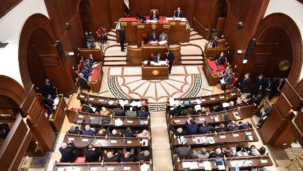 تطوير قانون نقابة المهن الرياضية خطوات جديدة نحو الاحترافية