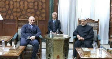 شيخ الأزهر: القضية الفلسطينية تتطلب موقفًا واضحًا