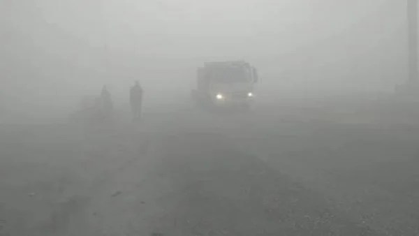 طقس شديد البرودة مع شبورة وأمطار خفيفة اليوم