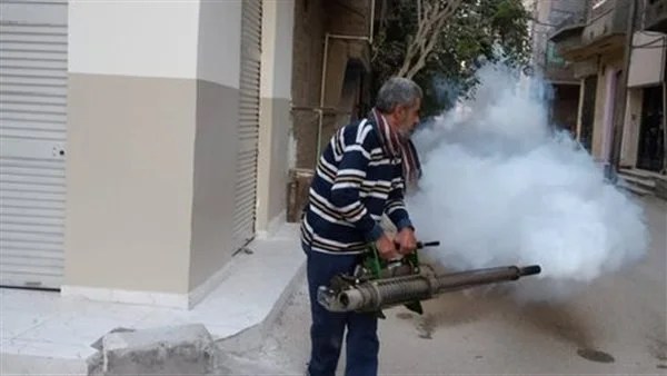مكافحات بيئية مكثفة في الأقصر لمواجهة الحشرات الضارة