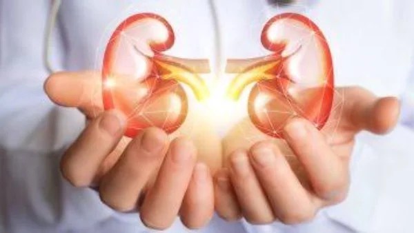 علامات تدل على أمراض الكلى