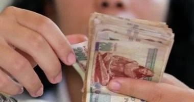 توزيع الأرباح للمساهمين في بورصة مصر