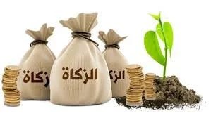 التفاضل بين مستحقى الزكاة ومشروعية تخصيص الأموال