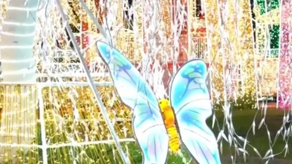 أضواء عيد الميلاد تجذب سكان لاغوس رغم التحديات