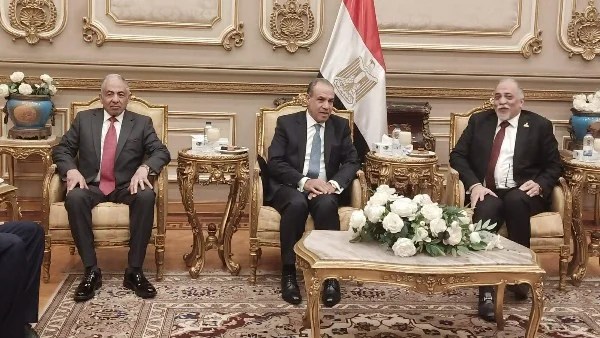 الدبلوماسية البرلمانية وأهميتها في السياسة الخارجية المصرية