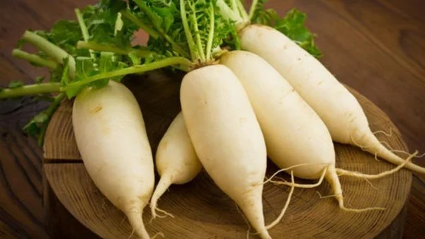 فوائد الفجل الأبيض الصحية للجسم