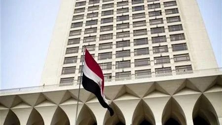 الدبلوماسية المصرية في أفريقيا 2025