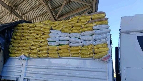 ضبط محاولة تهريب بذور زراعية بقيمة 700 ألف جنيه