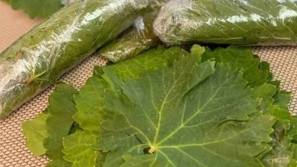 خطوات تخزين ورق العنب لشهر رمضان