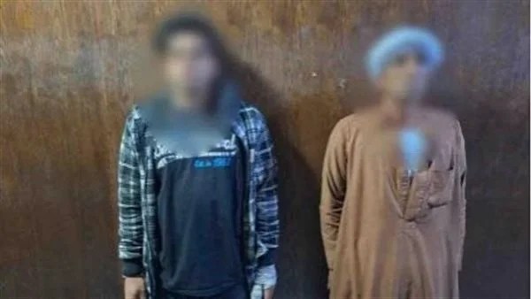 ضبط مالكي الخيول الهاربة داخل مدرسة في بولاق الدكرور