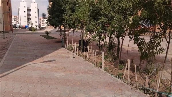 جهود جهاز تنمية العبور الجديدة لتحسين المظهر الحضاري