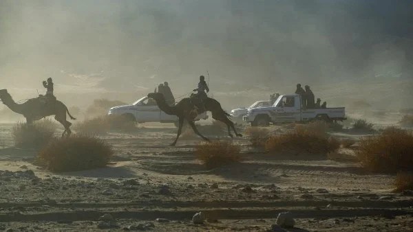 مهرجان سباق الهجن الدولي في شرم الشيخ