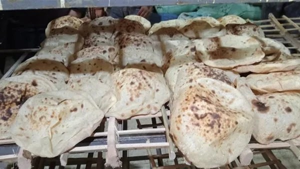 13 مخالفة تموينية خلال حملة في شبين القناطر