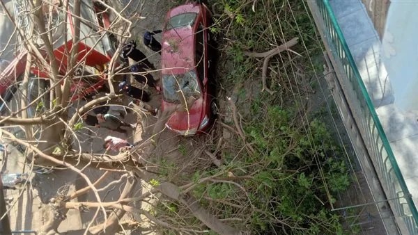 سقوط شجرة معمّرة في المعادي يتسبب في أضرار واسعة