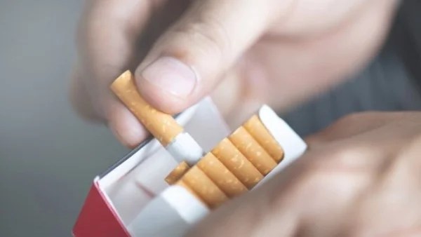 أسعار السجائر في مصر 17 يناير 2026