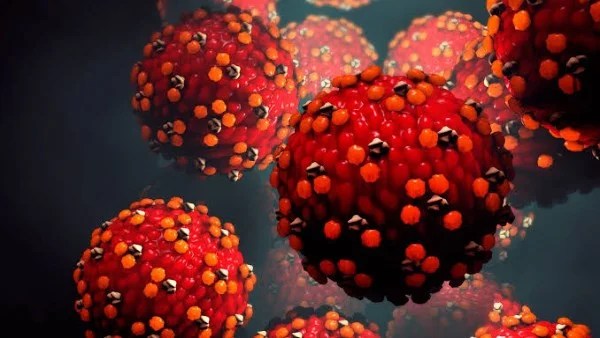 تفشي فيروس نوروفيروس على سفينة سياحية أمريكية