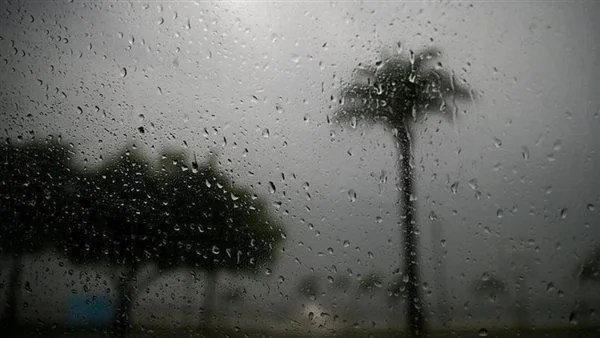 أمطار وشبورة مائية في حالة الطقس اليوم