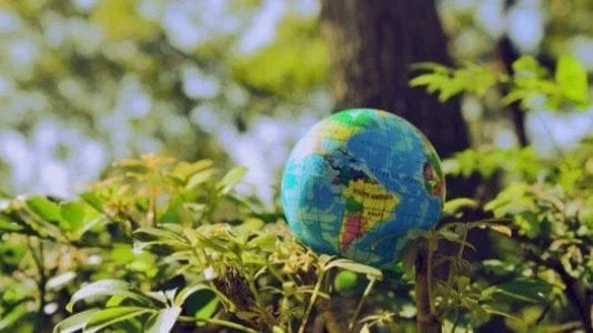 الشائعات حول فقدان الجاذبية في 12 أغسطس 2026