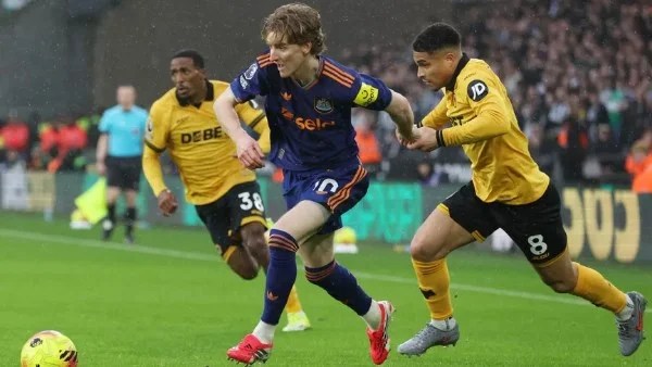 تعادل سلبي بين وولفرهامبتون ونيوكاسل يونايتد