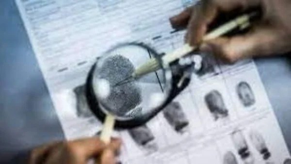 عقوبة التزوير تصل إلى الحبس سنتين وفق القانون