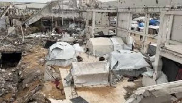 مصر تنجح في تشكيل لجنة السلام لدعم فلسطين