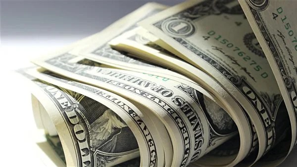 استقرار سعر الدولار مقابل الجنيه اليوم