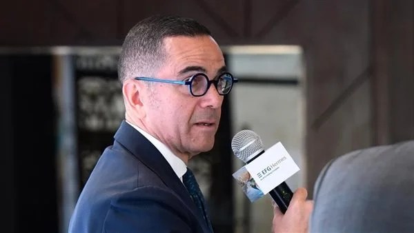 الاستثمارات الأجنبية في مصر: 12 مليار دولار سنوياً