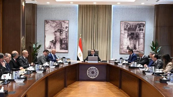 تطوير شركات السكر وتعزيز استدامة السلع الاستراتيجية