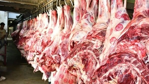 أسعار اللحوم في رمضان: استقرار ملحوظ ويسر للمستهلكين