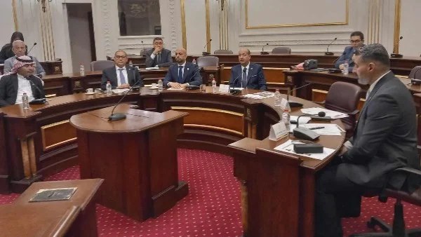 لجنة الثقافة بمجلس الشيوخ تناقش تطوير الإعلام المصري